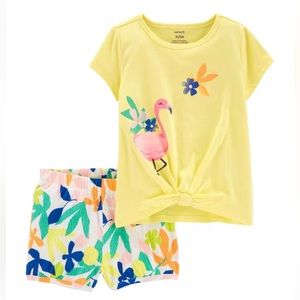 Toddler 2-Piece‎ Flamingo Tee & Short Set SIZE 9M
